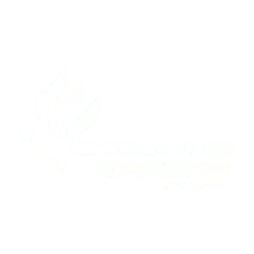 ACADEMIA GAVIOES