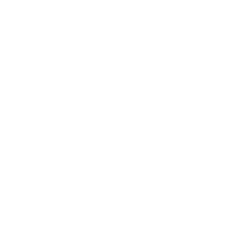 PAG SEGURO